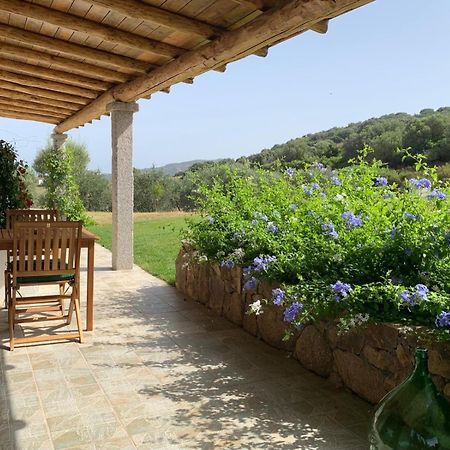 Macciuneddu Country Retreat Golfo Aranci Extérieur photo
