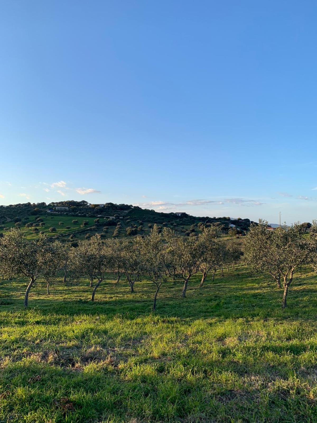Macciuneddu Country Retreat Golfo Aranci Extérieur photo